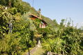 Ferienhaus Locarno mieten